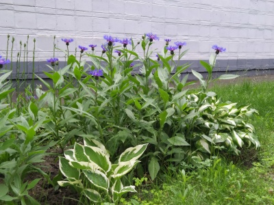 Дом Ученых - 06.jpg